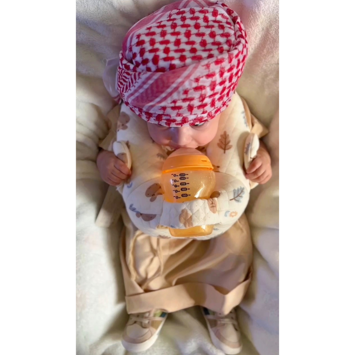 Milda Self-Feeding Pillow
